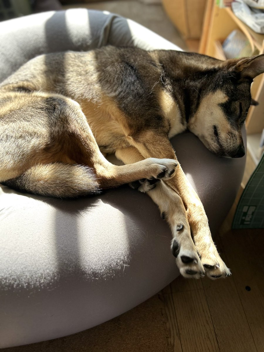 ポカポカ気持ち良さそう