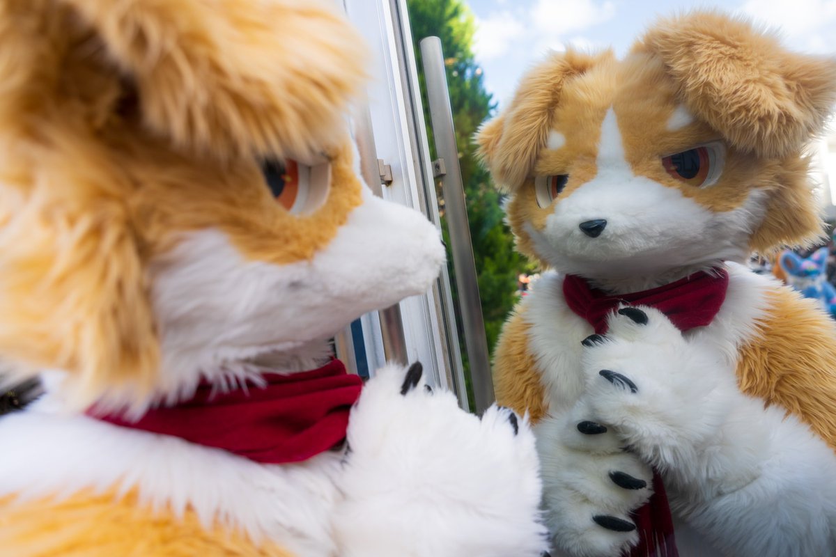 ホ(マフラーくずれてないかな…まだ自分で上手くまけないのに…)

#FursuitFriday