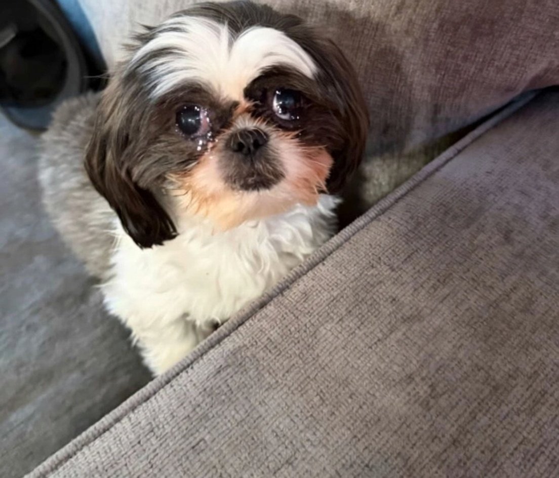 _MF80's tweet image. 4-0