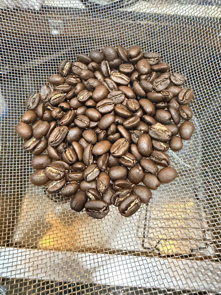 最近ちまちま1人飲みの生豆焼いてる
これは冷ましているところ