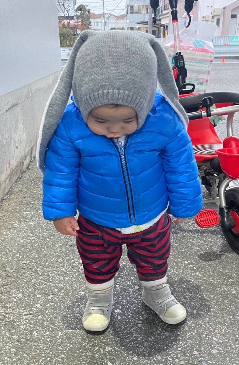 ⭐︎ゴンタロウ⭐︎ These little felllas are awesome ❤️