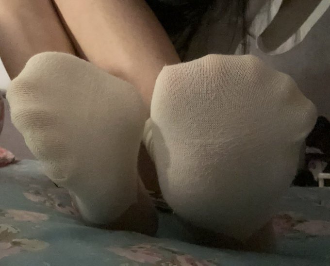 overyul's tweet photo. 양말만 봐도 껄떡거리는 발���레들 인출 할 시간이에요🐶🧦
#핀돔 #상납 #펨돔 https://t.co/p6XiPkCunY