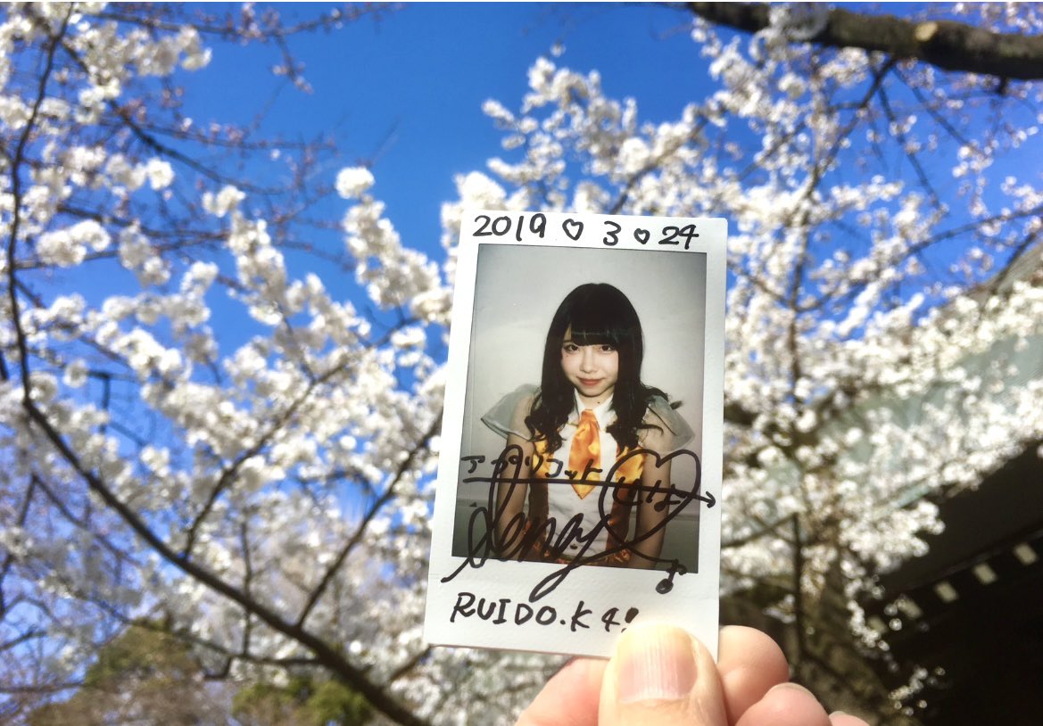 少し前は春休みの時期にちょうど東京の桜が満開だったが、近年やはり温暖化の影響で早まる傾向(しかし去年は遅かった！)
ちなみに以前は今みたく遠征の交流イベが頻繁になく、この年も満開の桜を横目に見てチェキで我慢💦
#コロナ前夜