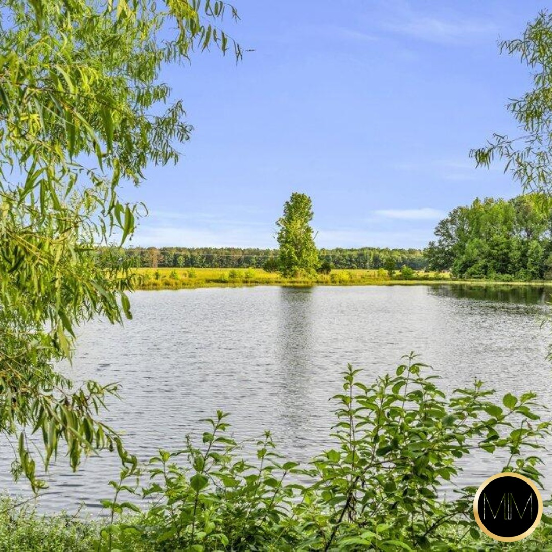 📣 Just Listed in Cedar Bluff

An extraordinary estate offering privacy, scale, and refined craftsmanship on 25+ acres along a private lake.

📍 18832 MS-50, Cedar Bluff, MS

Dale Conner | Mississippi Magnolia
📱 662-546-1769
💻 SellWithDale.com