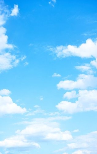 joy_rob's tweet image. コーヒーショップで作業してるつもりがSNS見てる時間の方が長い現実 🐸