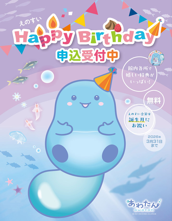 お誕生日は水族館へ🫧 🎉えのすいハッピーバースデー🎂 バースデー