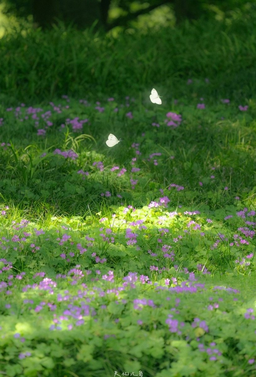 SwaggerU's tweet image. 授業中に眠くなって机に突っ伏してしまった 🧛