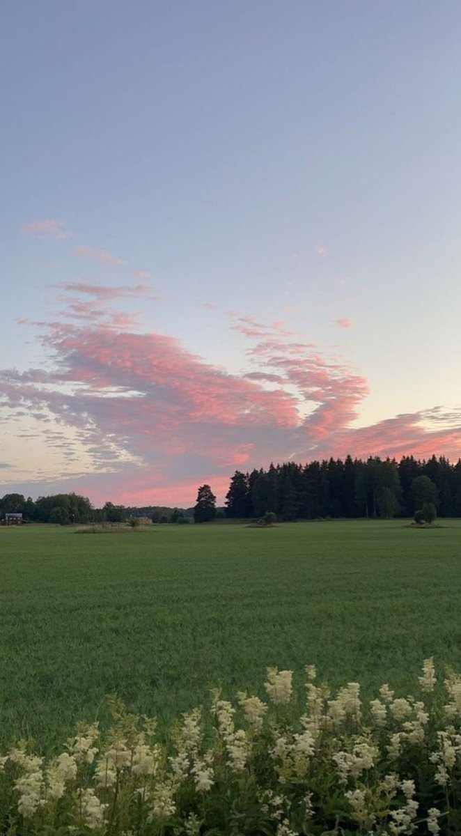 MandyHogie's tweet image. 父親が昔話をしてくれて、知らなかった若い頃のエピソードが面白かった 🍱