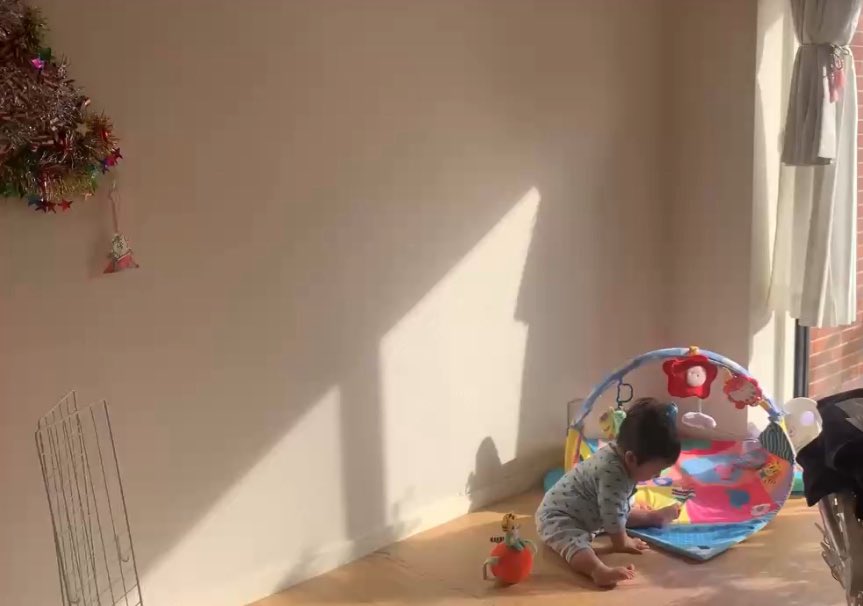 shizuckey's tweet photo. 息子がお座りできるようになったようです(かわいー！)
おしゃれな写真と見せかけて、左上はまだ飾ってあるインスタで見てマネした壁にくっつけるクリスマスツリー、左下はYouTubeで真上から撮影するための100円均一の道具でございます。
おもちゃが生まれてすぐ入会した進研ゼミなことだけが褒めポイントです←