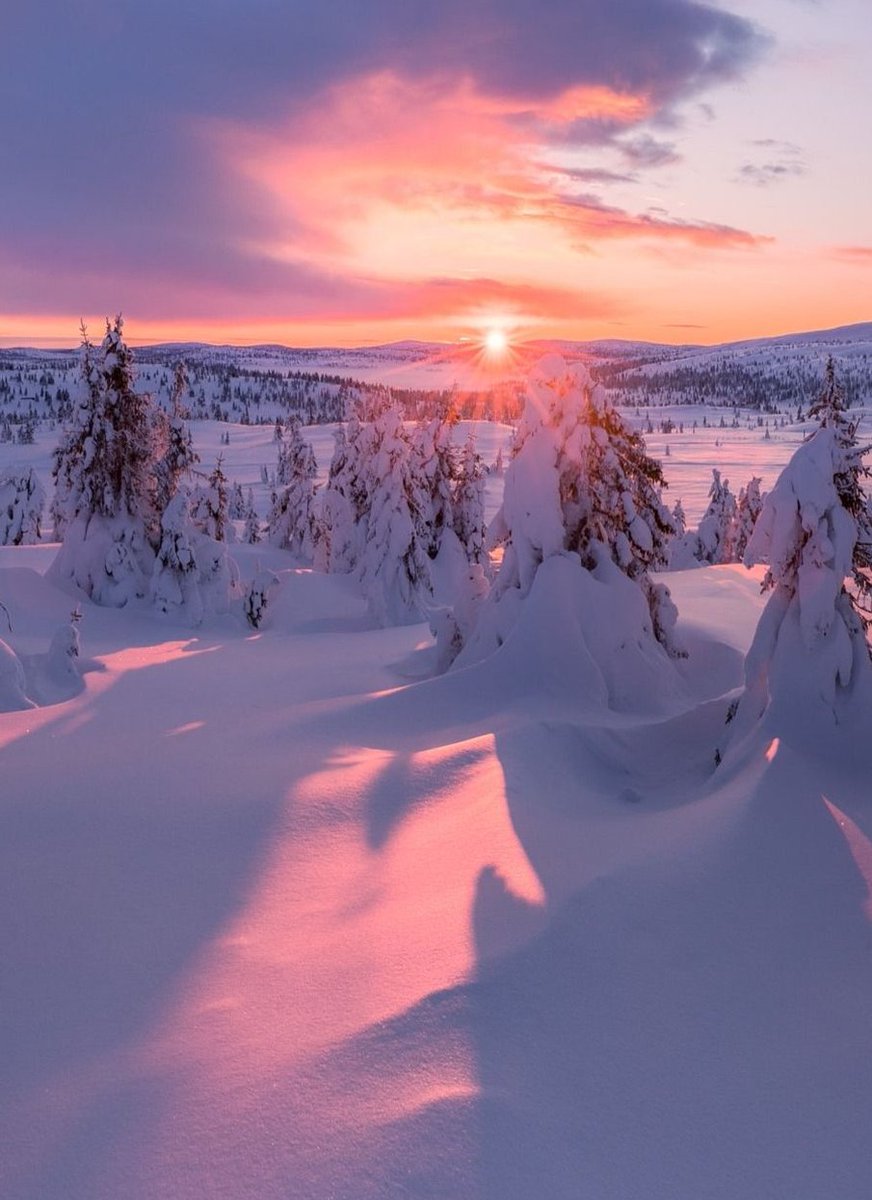 CoryIsReal's tweet image. 上司に怒られて凹んでる
辛い 😜