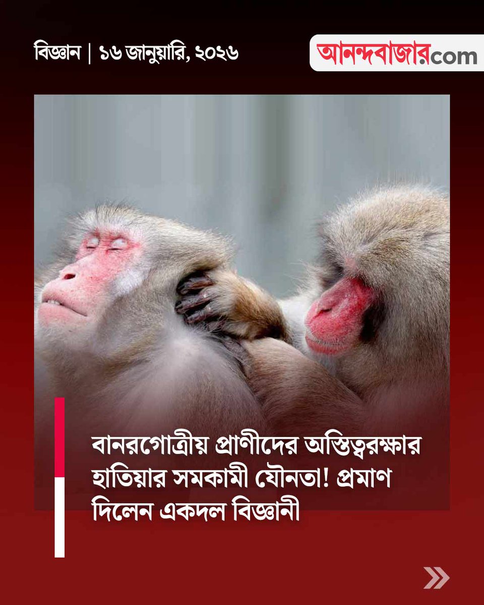 MyAnandaBazar's tweet image. কেন এই আচরণ?
#primates #behaviour #scientists 
anandabazar.com/science/scient…