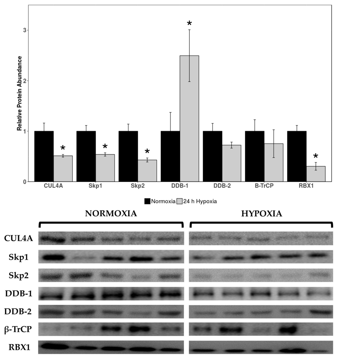 Muscles MDPI tweet media