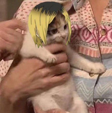 𝓚𝙤𝙯𝙪𝙢𝙚. (@k4dzuken) on Twitter photo 