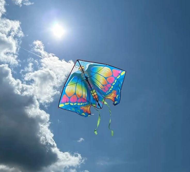 Itz_Sufi_11's tweet image. पूरे शहर की पतंगे अकेले मेरी फलानी काट देंगी 
फलानी काटने का बहुत पुराना अनुभव रखती है..❤️😅
#MakarSankranti 
#MakarSankranti2026