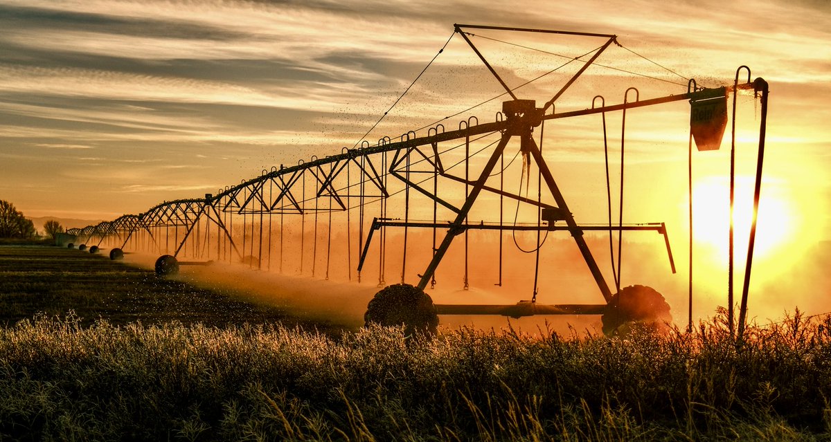 elev8208's tweet image. January Sunrise #photooftheday