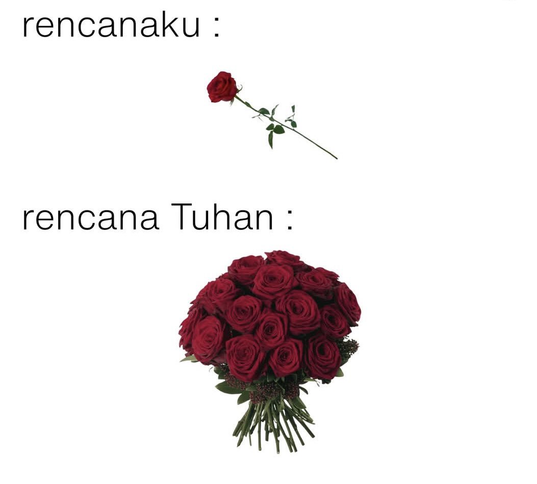 kapten__monyet's tweet image. 