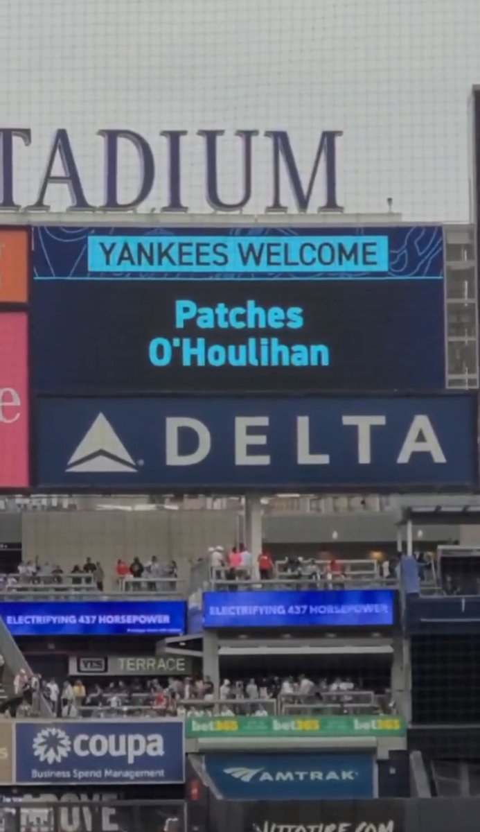 Patches O’Houlihan tweet media