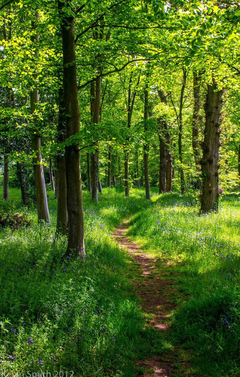 Cryptxvmaz's tweet image. なんか今日やる気が出ない 🕋