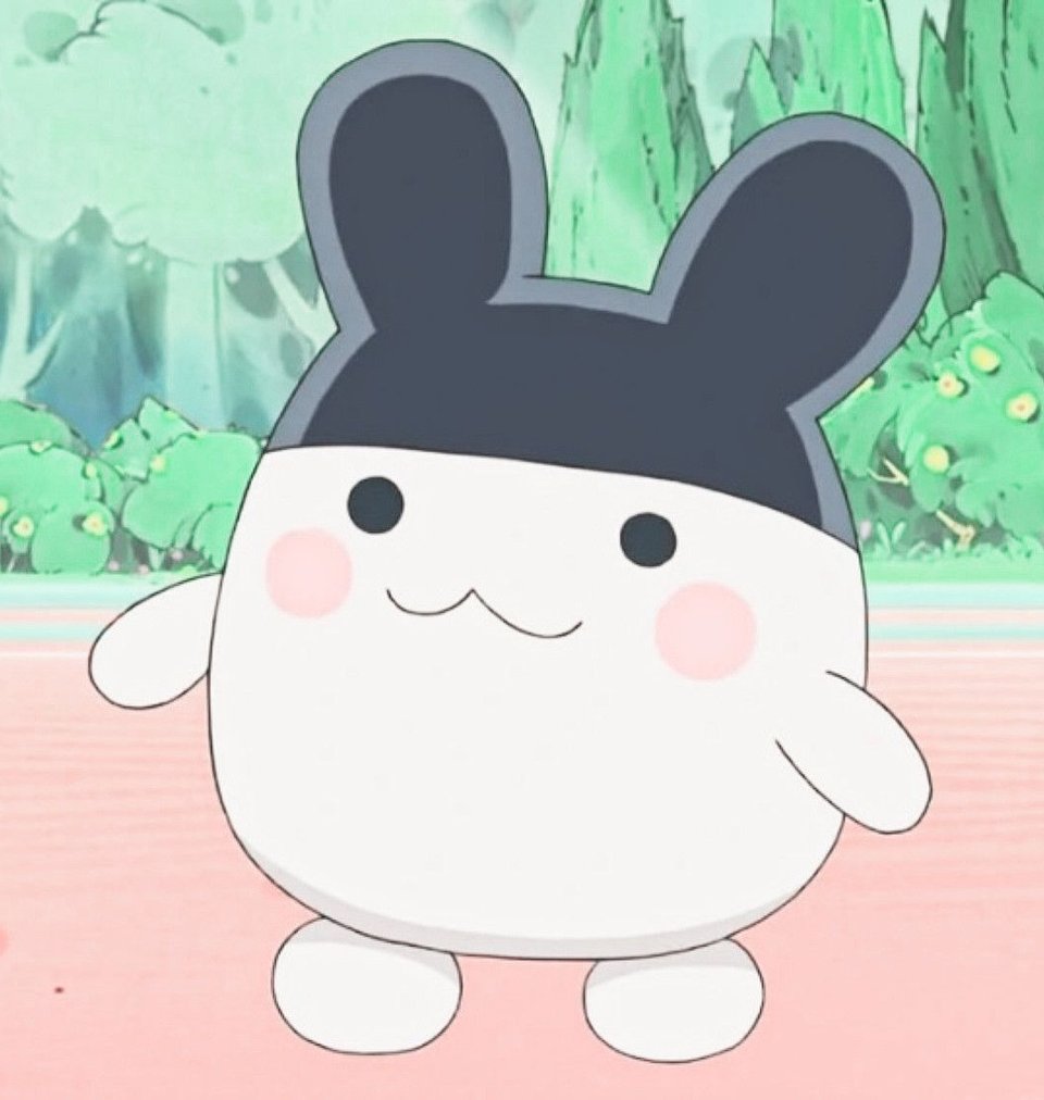 NotaCem's tweet image. スーパーで特売日だったから野菜安く買えた 🍫