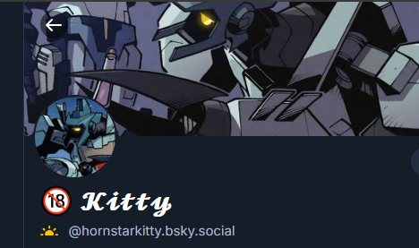 ✦𝗞𝗜𝗧𝗧𝗬 tweet media