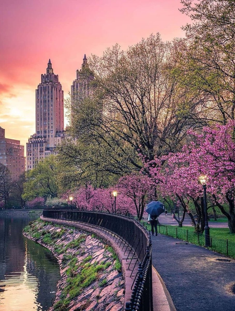 lovejad's tweet image. 彼氏が作ってくれたパスタが思ったより美味しくてびっくり 🐳