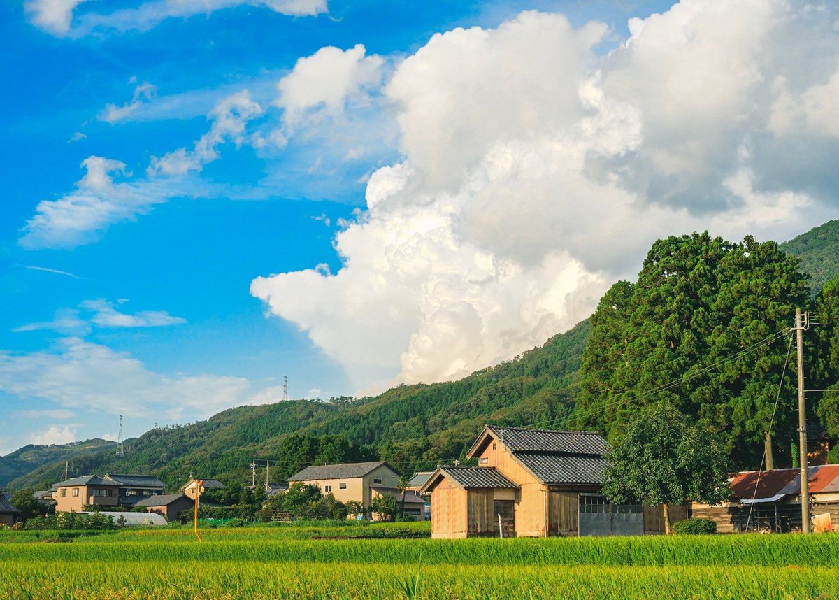 lucaallocca1's tweet image. オンラインで絵画教室受講してる
Zoomで先生に直接指導してもらえるから上達が早い 🐶