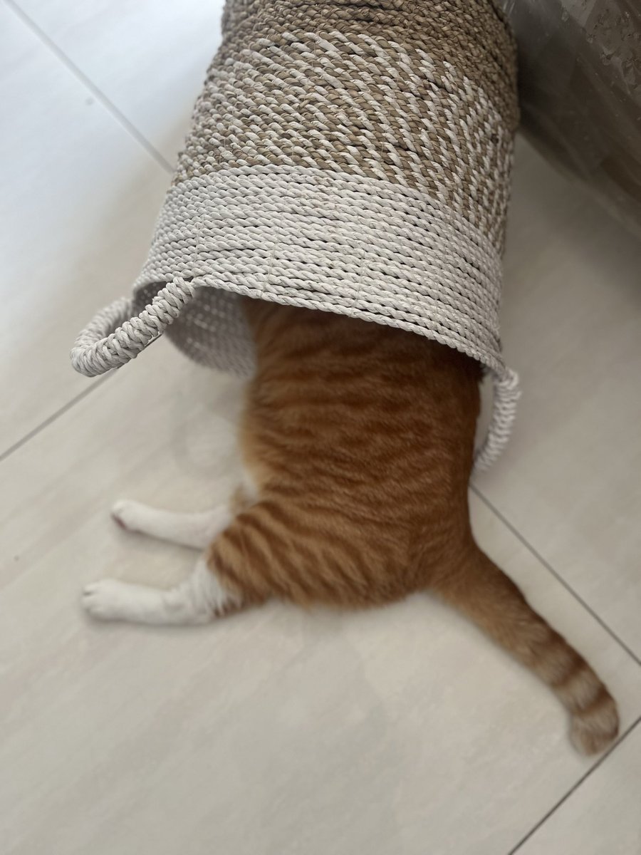 Ngambek abis dimarahin ➡️ ketiduran