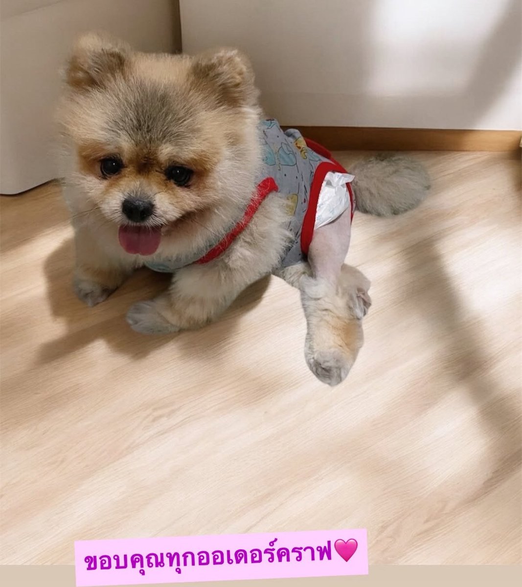 krapecake's tweet photo. พ่อค้าสุดหล่อ 😭😭😭😭😭😭😭😭😭😭😭😭😭😭😭😭😭😭😭😭😭😭😭😭😭😭 แผลหายยังหนิ น้อนนนนนนนนนนนน
//สามารถไปอุดหนุนขนมปังกรอบและไส้อั่ว #fluke_cooking ได้ค้าบบบบ
//เปิดรับออเดอร์วันนี้วันสุดท้าย🔥🔥🔥
©คุณแม่น้องตะวันฮันนาห์ฮารุฮาริโฮชิ
#flukepet https://t.co/GlmdXPseNV