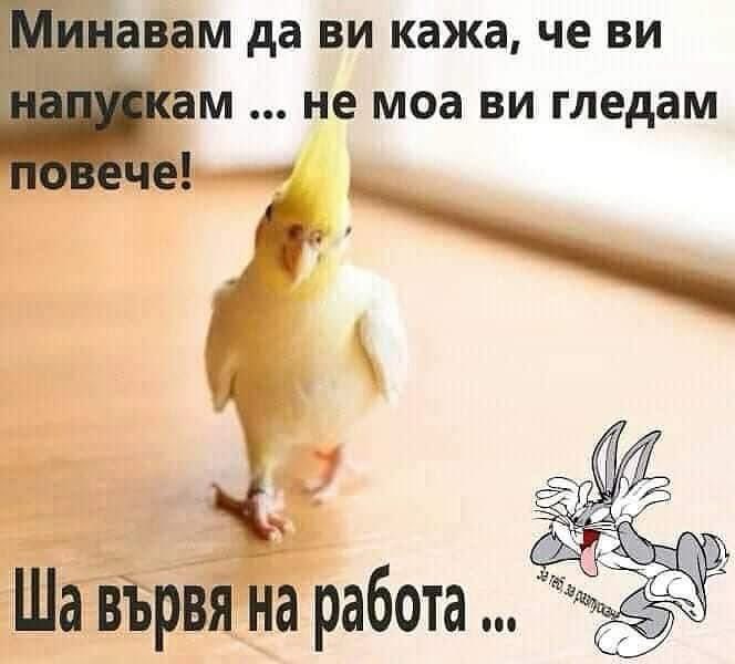 BodyPerfect12's tweet image. 