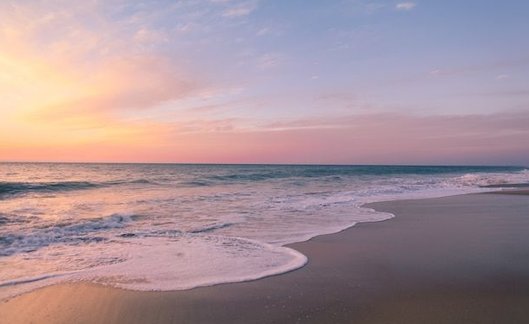 ViiFreeStep's tweet image. セール品狙いで朝9時から並んだ 🐟