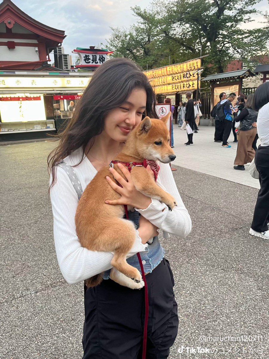 cookieggom's tweet image. this Haerin with this Dani