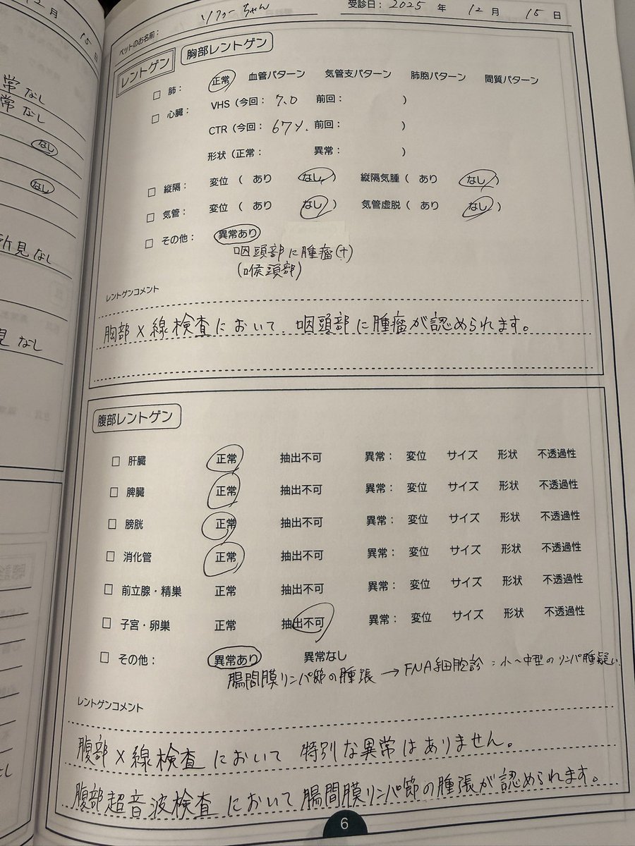 ooooliveeee's tweet image. 12月中旬にした健診の結果を頂いた。年末の大きな病院の採血も異常なかったけど、この健診採血も白血球の炎症あるくらいで貧血もなく他臓器や尿も正常値だった。今日は眼の陥没もあり脱水と吐き気、発熱で抗生剤吐き気止め3カ所単独で注射、そのあと点滴。3本とも痛い注射らしく飛び上がってた🙀