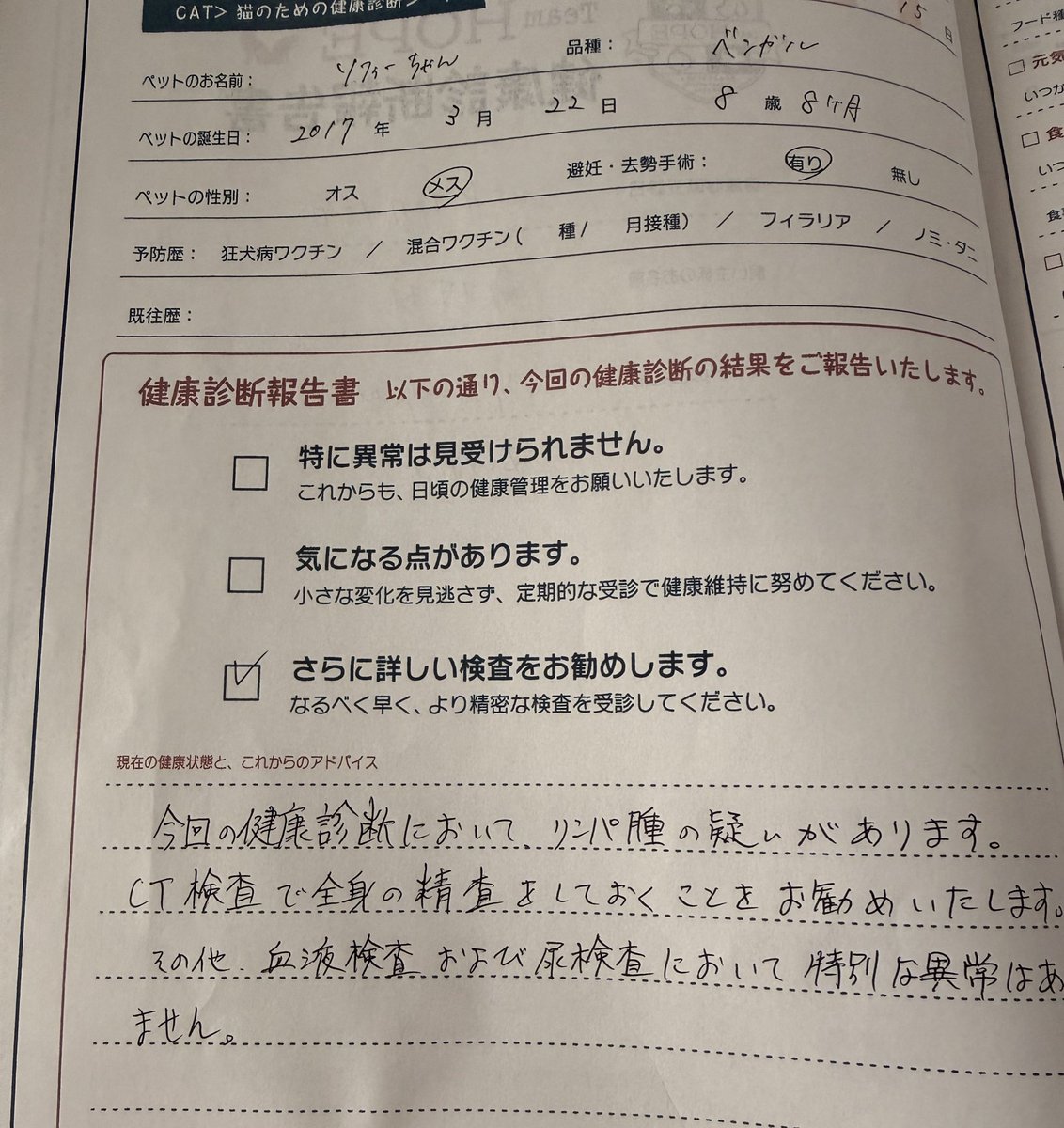 ooooliveeee's tweet image. 12月中旬にした健診の結果を頂いた。年末の大きな病院の採血も異常なかったけど、この健診採血も白血球の炎症あるくらいで貧血もなく他臓器や尿も正常値だった。今日は眼の陥没もあり脱水と吐き気、発熱で抗生剤吐き気止め3カ所単独で注射、そのあと点滴。3本とも痛い注射らしく飛び上がってた🙀