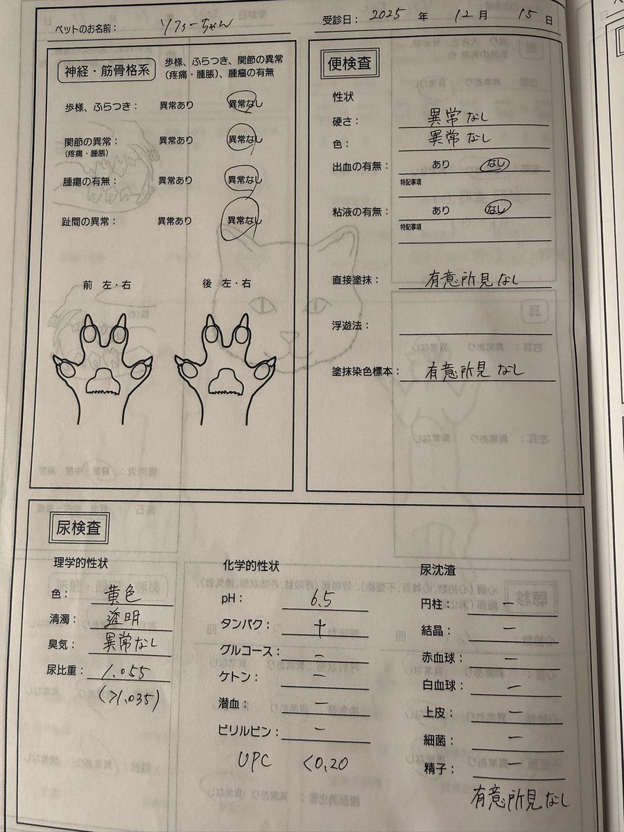 ooooliveeee's tweet image. 12月中旬にした健診の結果を頂いた。年末の大きな病院の採血も異常なかったけど、この健診採血も白血球の炎症あるくらいで貧血もなく他臓器や尿も正常値だった。今日は眼の陥没もあり脱水と吐き気、発熱で抗生剤吐き気止め3カ所単独で注射、そのあと点滴。3本とも痛い注射らしく飛び上がってた🙀