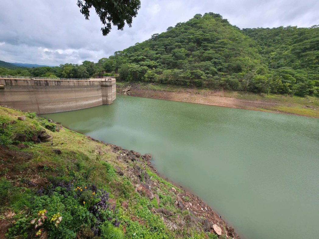 Ranga Mataire tweet media