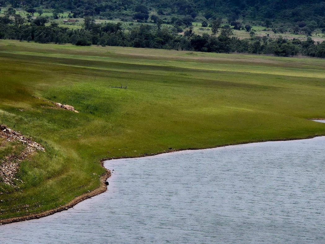 Ranga Mataire tweet media