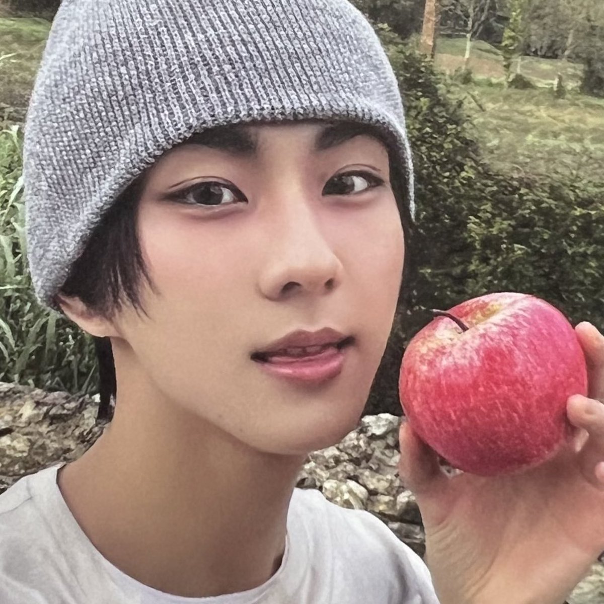 jwkittie's tweet image. apple jungkitty