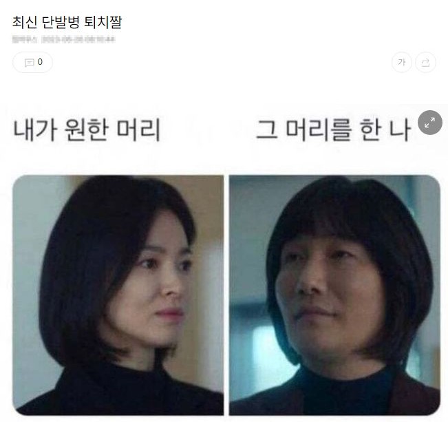 단발병 퇴치짤이랰ㅋㅋㅋㅋㅋ🤣🤣