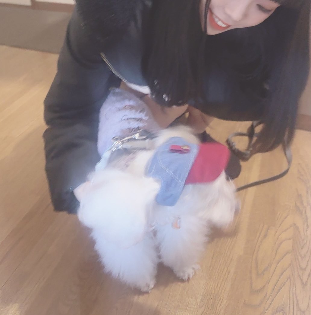 ReINC_aya's tweet photo. もう一般人ですがこの先も仲良くしてあげてください🙇‍♀️💛

ちな封筒くった犯人はこいつです🐩セナ😠😠😠 https://t.co/ptT4VqLyy2