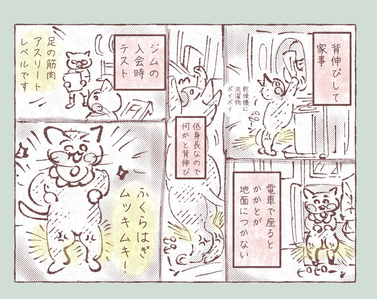 まったく筋トレをしないのに、なぜかふくらはぎがムキムキ
迷宮入りの謎が、ついに解けた
身長が149cmのため、あらゆる場所で毎日背伸び
常にふくらはぎが筋トレ状態だったことが判明
数十年 気づかなかった
小柄な女性、ふくらはぎムキムキ説