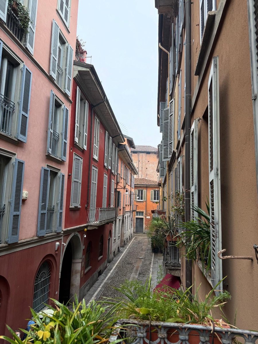 _markzlee's tweet image. 