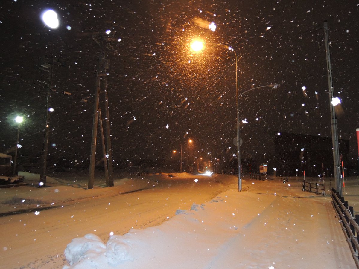 swimminn_'s tweet image. 