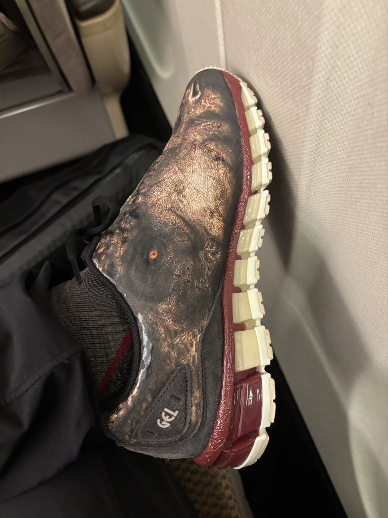 こんな靴買ってしまいました😉👍🦖