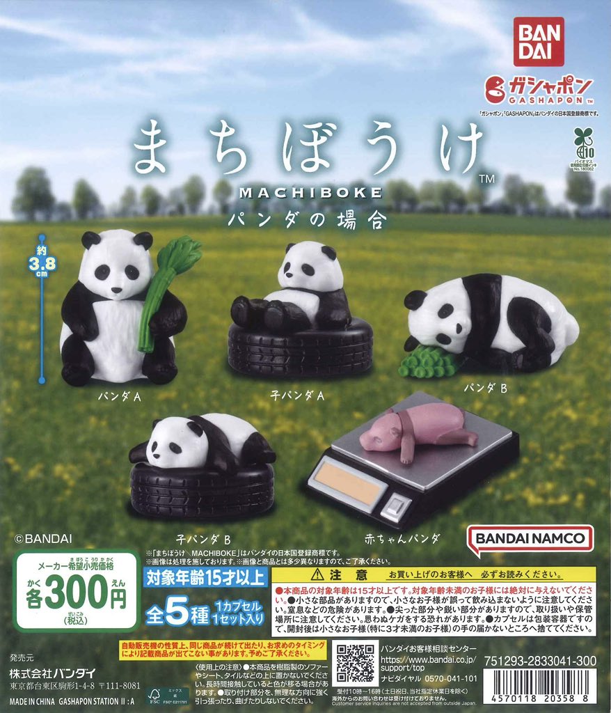 🍹新商品入荷情報③🍹 📍 まちぼうけ パンダの場合 📍 ズッピーの