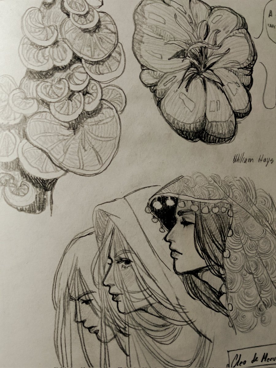 Ketches from September of last year :)