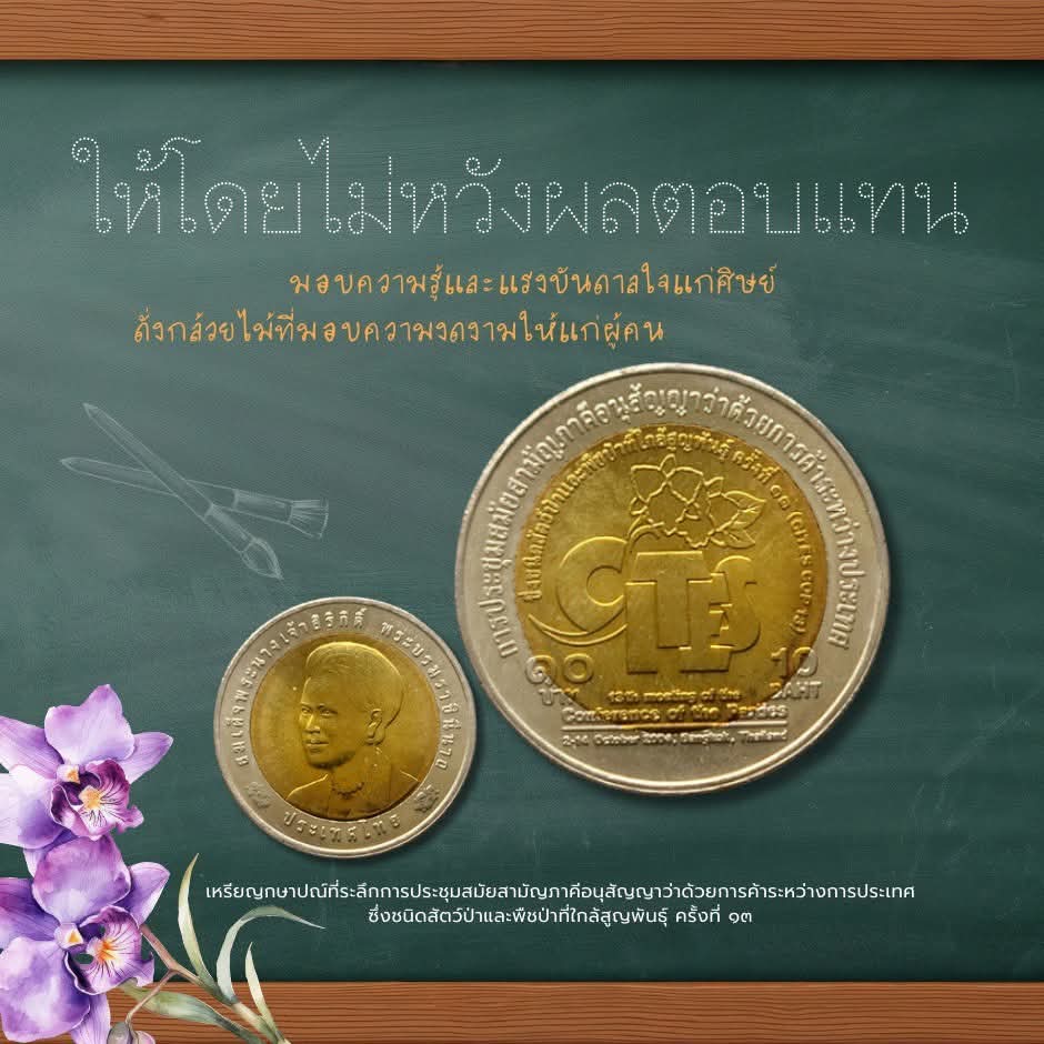 สำหรับปีนี้ #TheCoinStory ขอมาเล่าถึง 'ครู' กับ 'กล้วยไม้' ผ่านเหรียญกษาปณ์ที่ระลึกที่มีจัดแสดงในพิพิธภัณฑ์เหรียญฯ  ให้สมกับผู้วางรากฐานแห่งความรู้...สู่ความงอกงามของสังคม

#TheCoinMuseumThailand
#พิพิธภัณฑ์เหรียญกษาปณานุรักษ์
#วันครู #วันครู2569 #16มกราวันครู