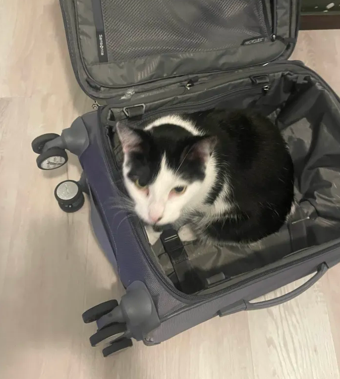 bringing all the essentials