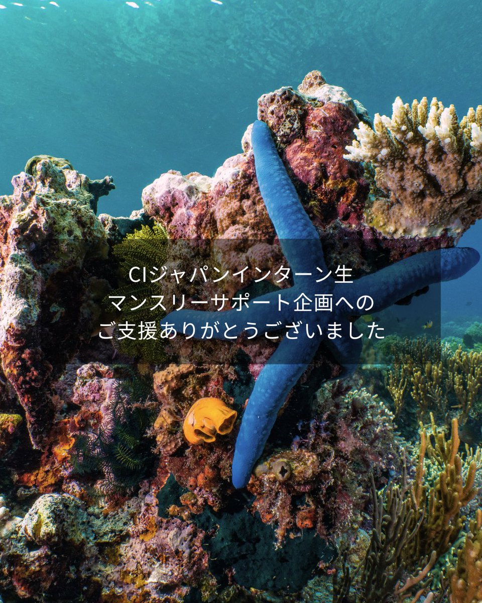 CI_Japan's tweet photo. CIジャパンのインターン学生によるマンスリーサポート企画にご協力いただきありがとうございました。

皆さまの継続的なご支援が、未来を動かす力になります。地球と人びとの未来のために、私たちと一緒に行動を起こしましょう！ https://t.co/umE7jUSGVF