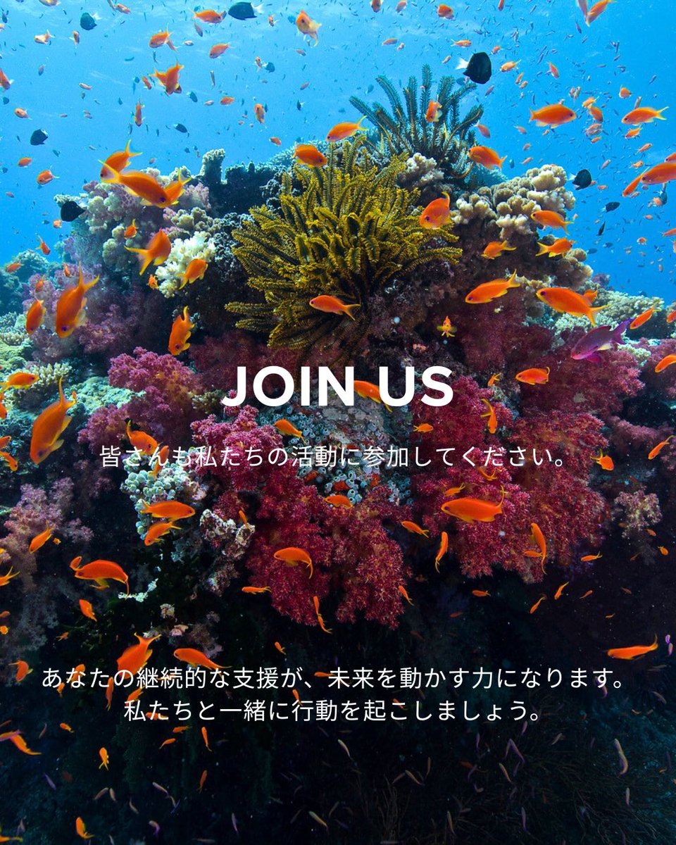 CIジャパンのインターン学生によるマンスリーサポート企画にご協力いただきありがとうございました。

皆さまの継続的なご支援が、未来を動かす力になります。地球と人びとの未来のために、私たちと一緒に行動を起こしましょう！