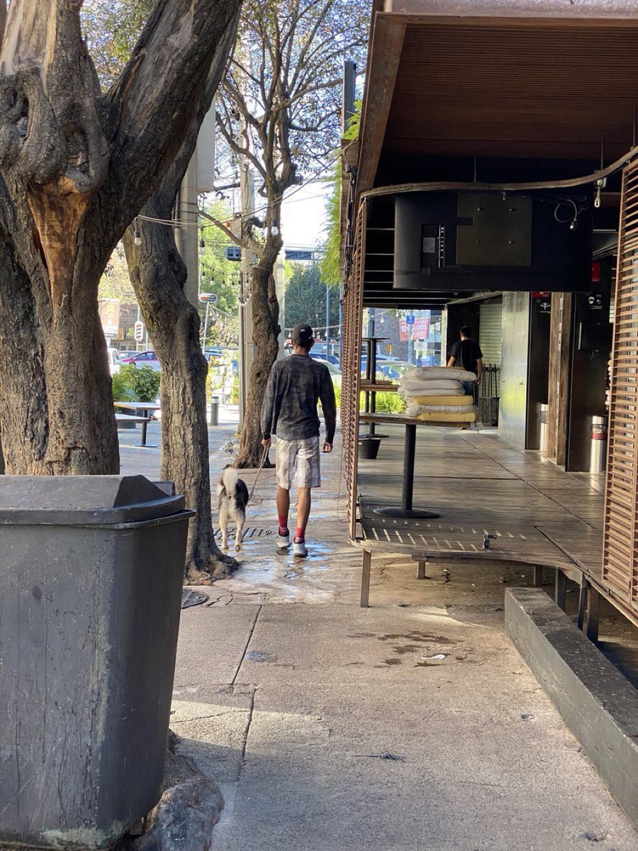 Kinesis Humana 🏳️‍🌈 🚸 ⚖️ 🎨 tweet media